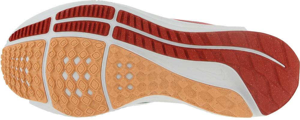 Nike Air Zoom Pegasus 39