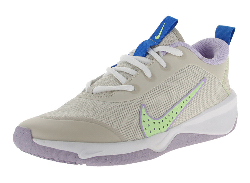 Nike Omni Multi-Court Big Kids