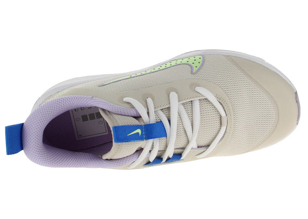 Nike Omni Multi-Court Big Kids