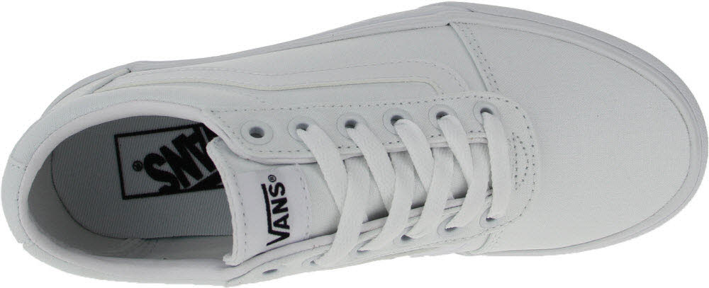 Ward Platform Canvas Sneaker