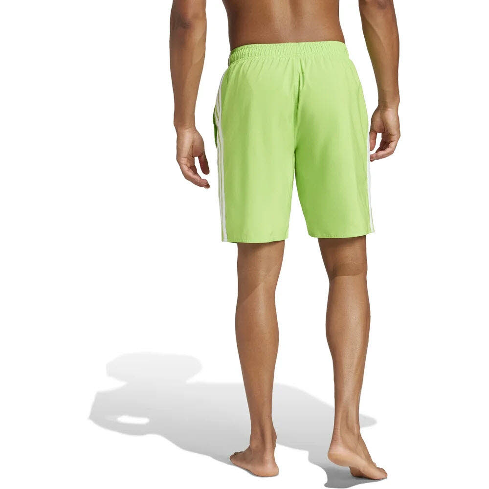 adidas Herren Badeshorts