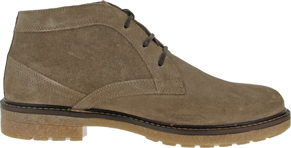 Pius Gabor Herren Boots