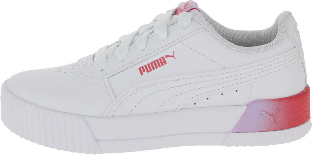 Carina Summer Fade PS