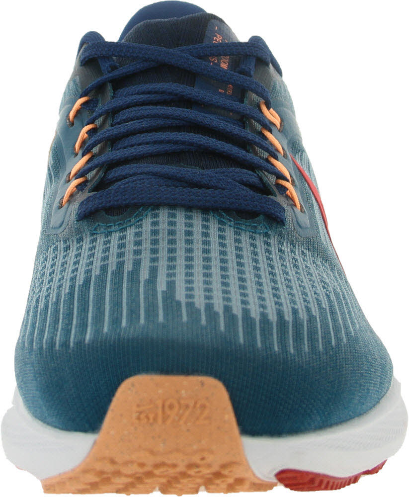 Nike Air Zoom Pegasus 39