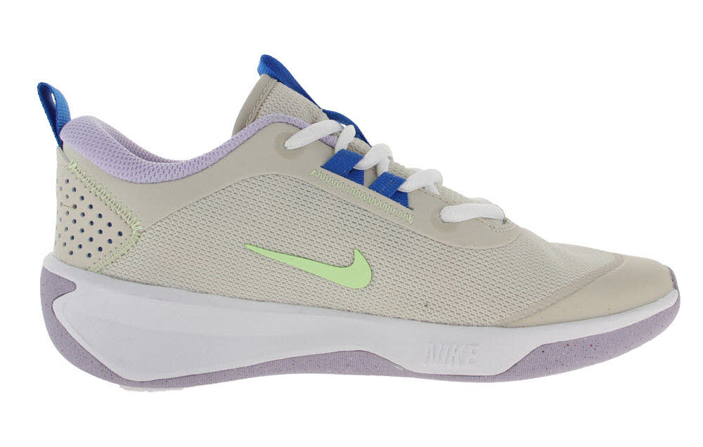 Nike Omni Multi-Court Big Kids