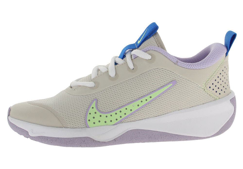 Nike Omni Multi-Court Big Kids