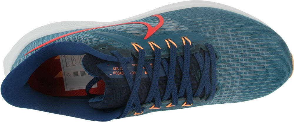 Nike Air Zoom Pegasus 39
